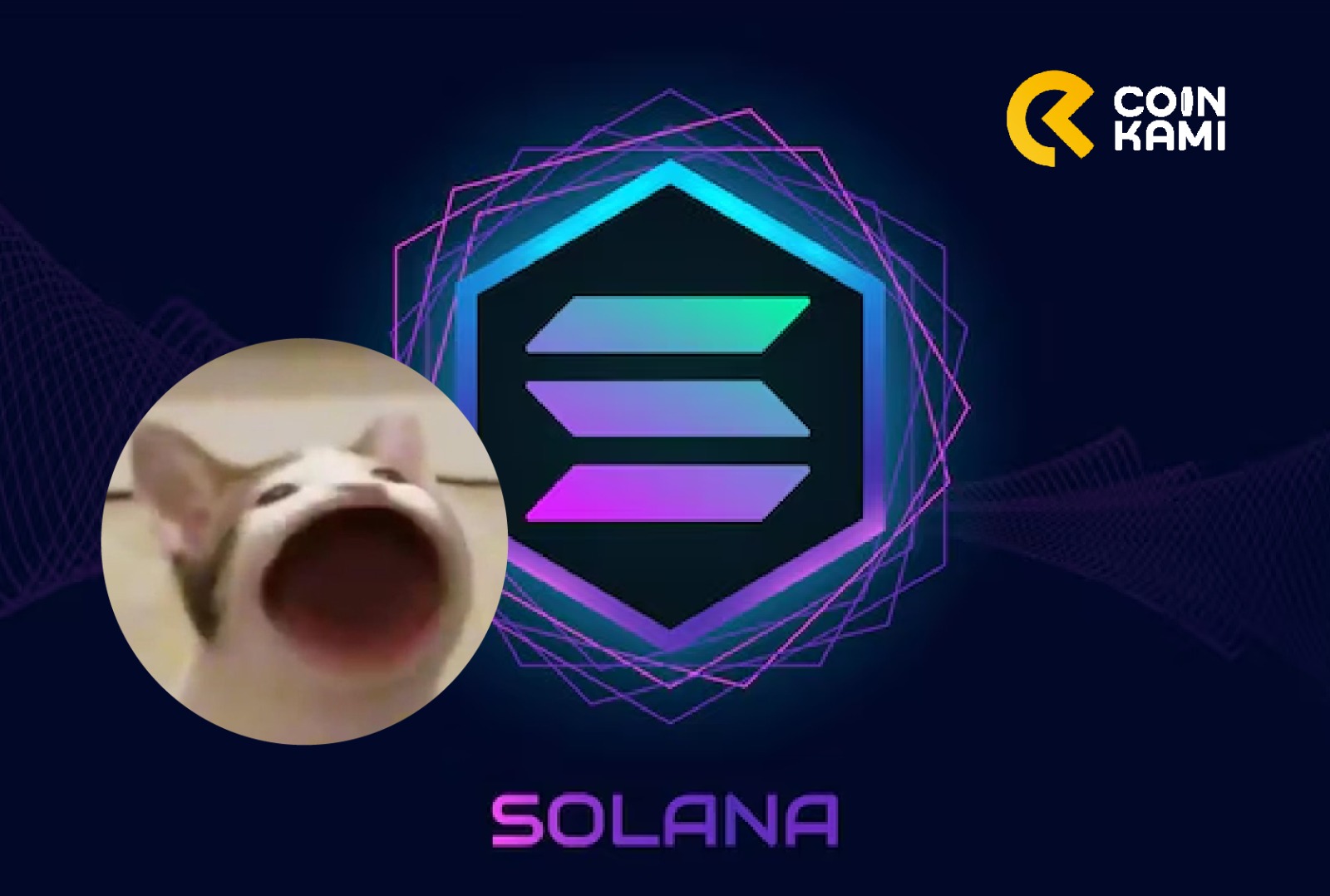 Rahasia Popularitas $POPCAT: Meme Lucu yang Menjadi Tren di Blockchain Solana